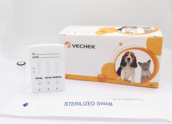 Soem-Hundetest-Ausrüstungen CPV CCV Giardia Lamblia-Antigen-schnelle Diagnose