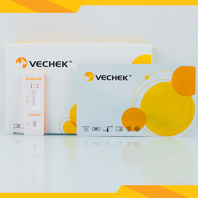 Brucella-Antikörper-schnelle Test-Kassetten-Vollblut des rinderartigen Tiers und der Schafe/Serum/Plasma