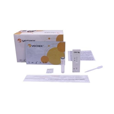 Hunde- Adenovirus-Art - Test-Diagnostiktest-Ausrüstung des Antigen-II mit schnellem Ablesentierarzt