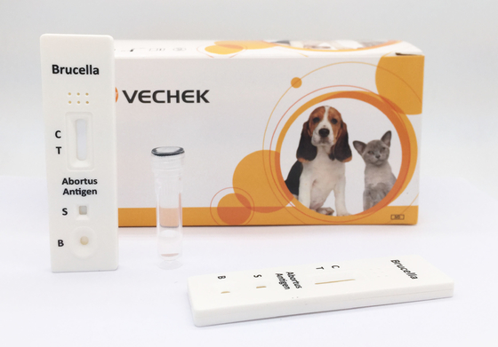 10 Minute-Rinderbrucella-Antigen-Test mit qualitativem und einleitendem