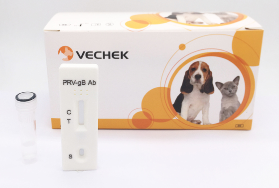 Schweinehauptantikörper test-Kit Pseudorabiess GB mit 24 Monaten Regal-Zeit-