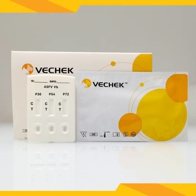 Antikörper-kombinierte schnelle Test-Kassette ASFV P30/P54/P72 (Serum/Plasma)